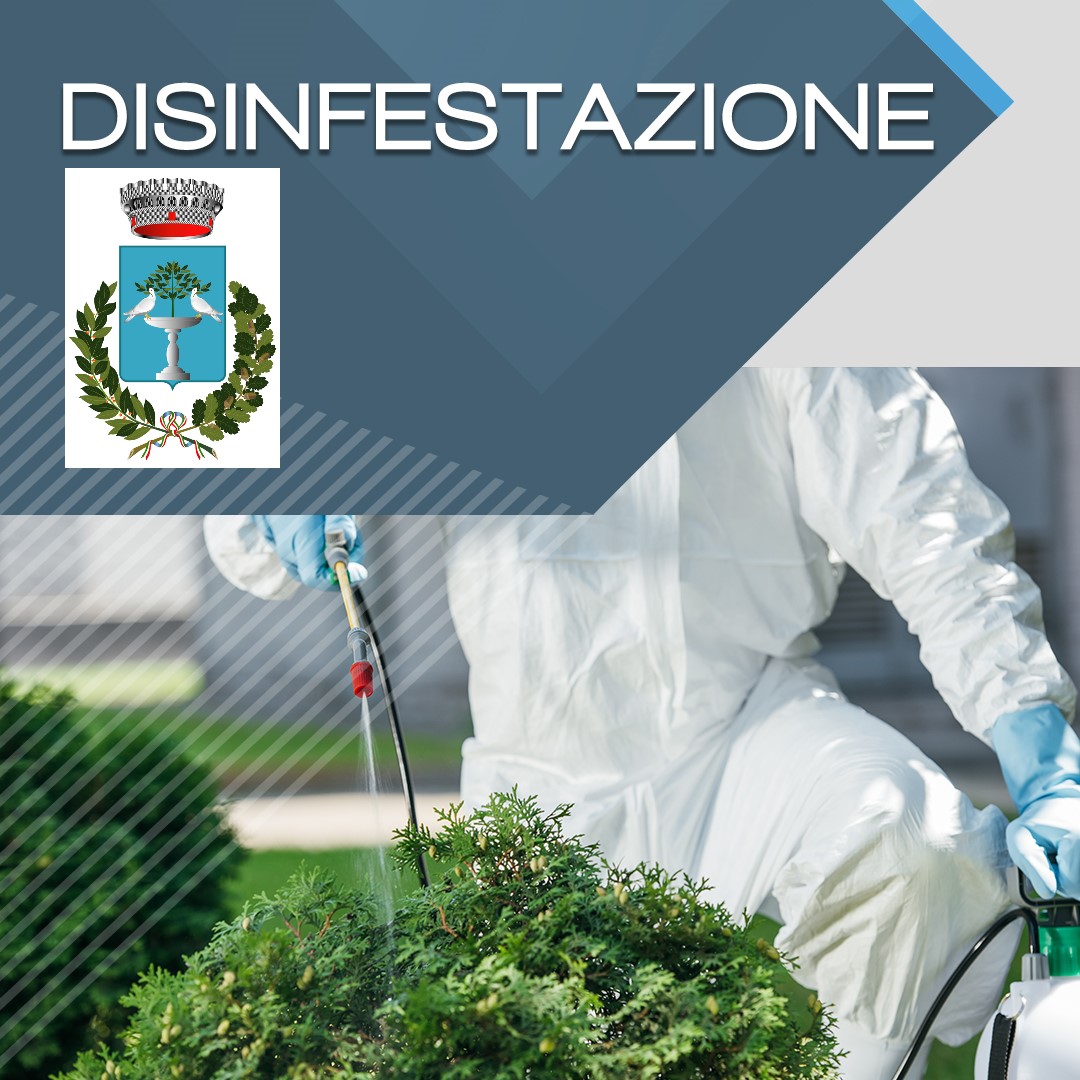 Trattamento di disinfestazione nel territorio del Comune di Loreto Aprutino nella notte tra LUNEDI' 6  E MARTEDI' 7 LUGLIO 2026